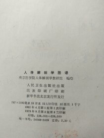 人体解部学图谱