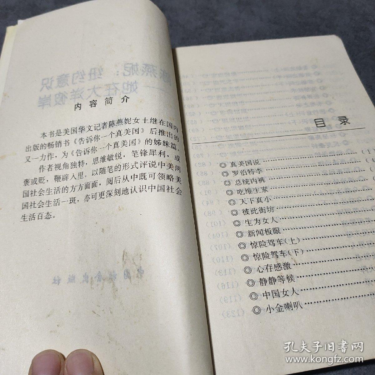 陈燕妮：纽约意识——她在大洋彼岸