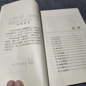 陈燕妮：纽约意识——她在大洋彼岸