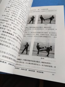 振藩武技：近身发力