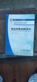 全国高等学校护理学研究生规划教材：高级护理实践导论（硬精装小16开   2008年12月1版1印   有描述有清晰书影供参考）