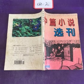 中篇小说选刊1996年第6期