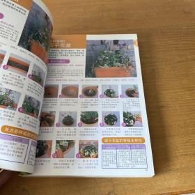 花卉圣经：1200种室内观赏植物【实物拍照现货正版】
