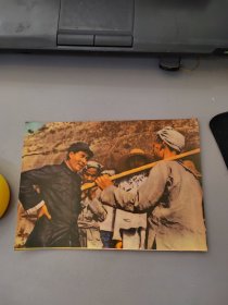 彩色：毛泽东照片 实物拍摄 8.7×2.8