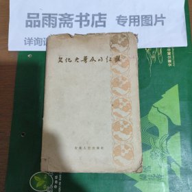 文化大普及的红旗（精装）...