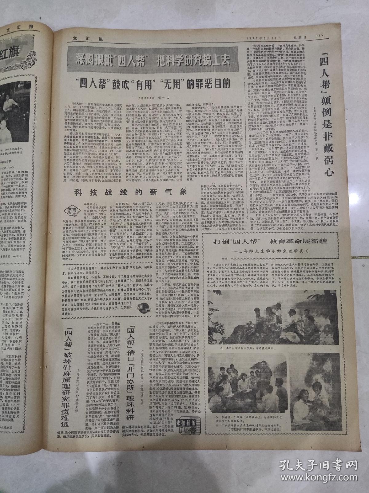 文汇报1977年6月12