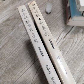 西安碑林古刻集粹.书法绘画卷、石刻造像卷