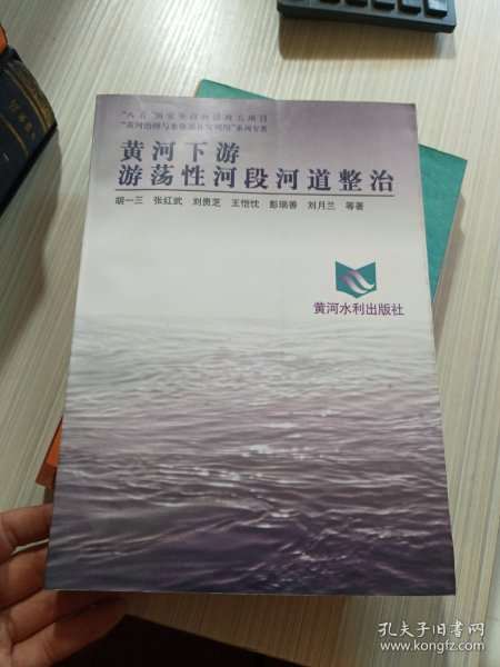 黄河下游游荡性河段河道整治