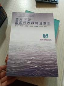 黄河下游游荡性河段河道整治