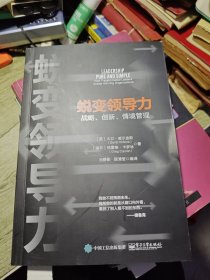 蜕变领导力：战略、创新、情境管理