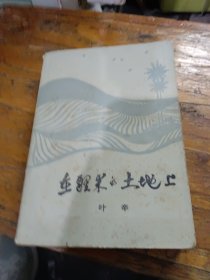 在醒来的土地上
