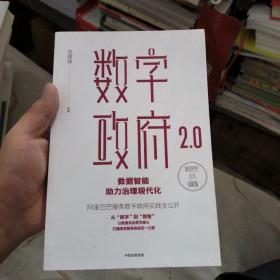 数字政府2.0：数据智能助力治理现代化