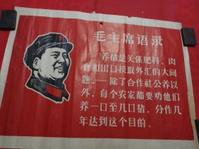 （宣传画，带头像《毛主席语录，养猪换外汇》，53.5*39cm
