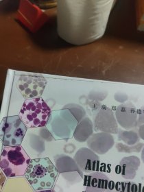 血细胞形态学诊断图谱（第2版）