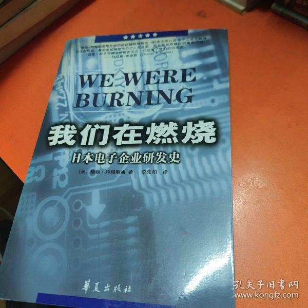 我们在燃烧：日本电子企业研发史