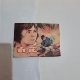 奇花（上集）