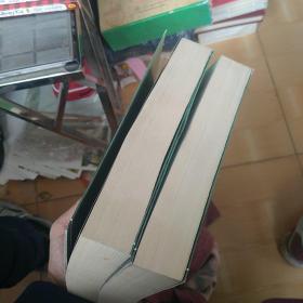 施公案（上下）中国古典将侠小说精品集