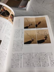 川瀬敏郎今様花伝書