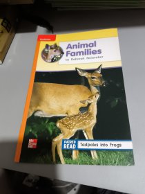 Animal Families by Deborah November平装McGraw Hill Education