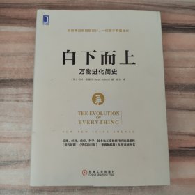 自下而上:万物进化简史