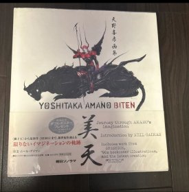 日文 天野喜孝画集 美天