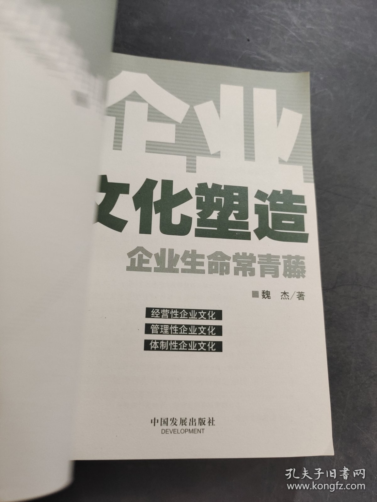 企业文化塑造：企业生命常青藤