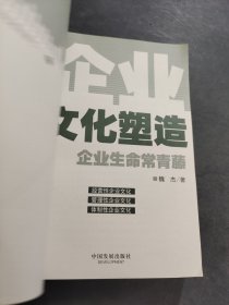 企业文化塑造：企业生命常青藤