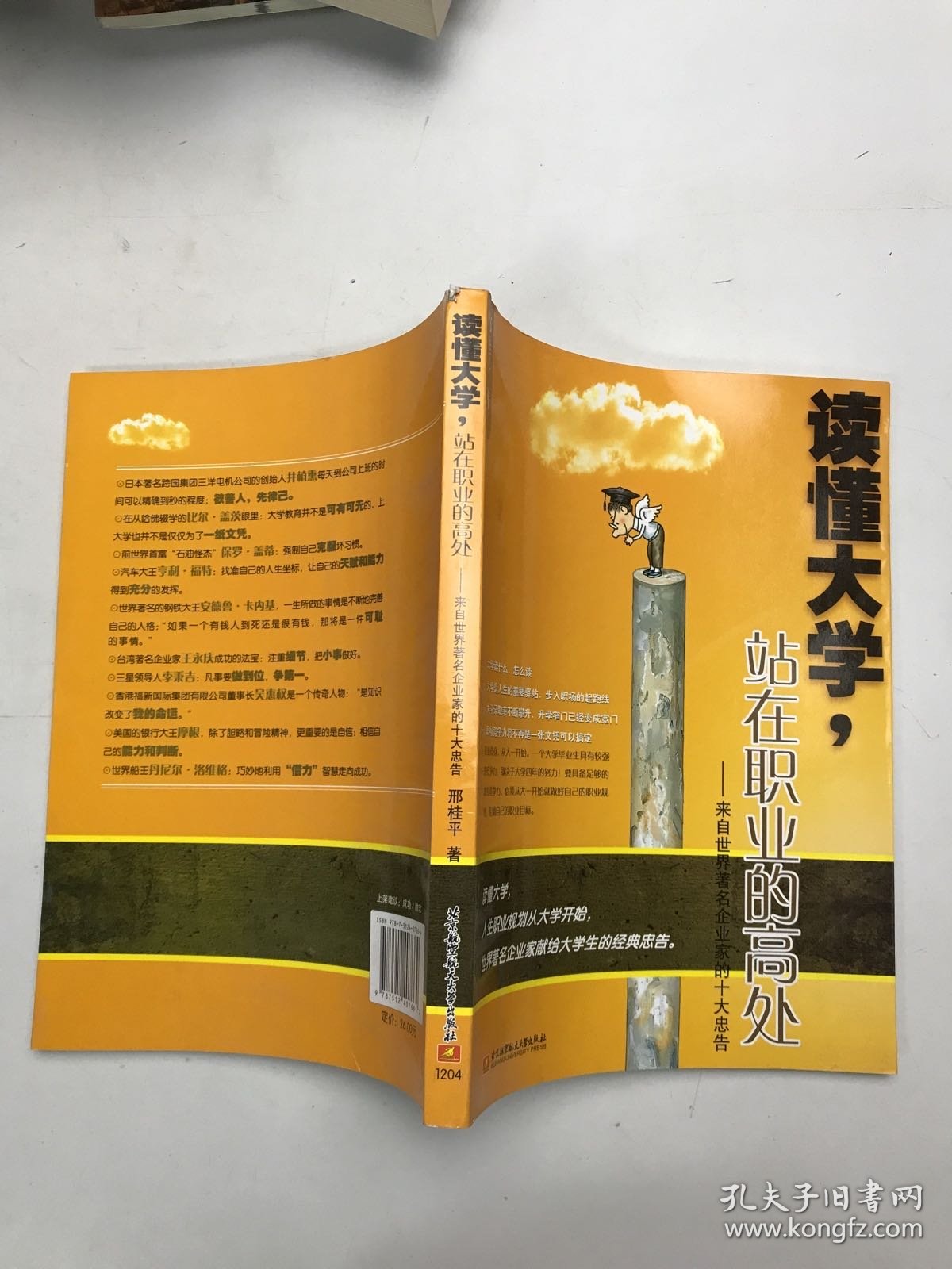 读懂大学，站在职业的高处：来自世界著名企业家的十大忠告