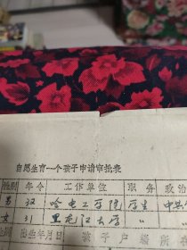 黑龙江大学德都县自愿生育一个孩子申请审批表