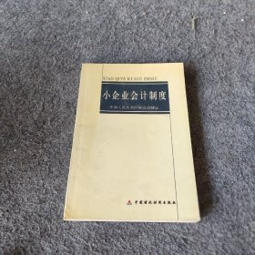 小企业会计制度