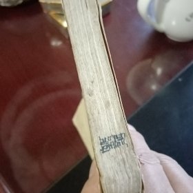 鲁迅一中国文化革命的巨人