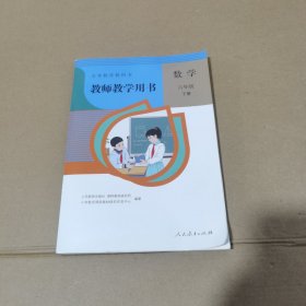 人教版 数学 6年级下册 教师教学用书(无光盘)