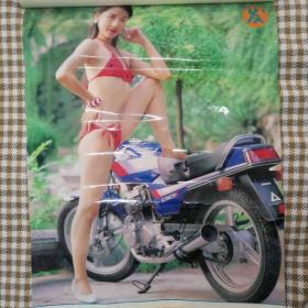 挂历1994年 美女泳装摩托挂历，发发发     13张全 塑膜