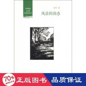 风景的诱惑 中国现当代文学理论 房伟 新华正版