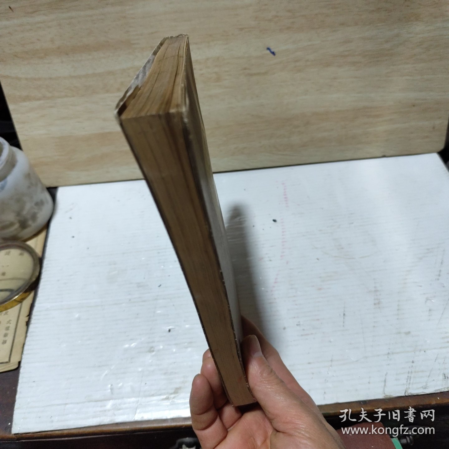 斯大林全集（11）