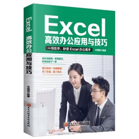 Excel:高效办公应用与技巧 李丽丽 9787571918286