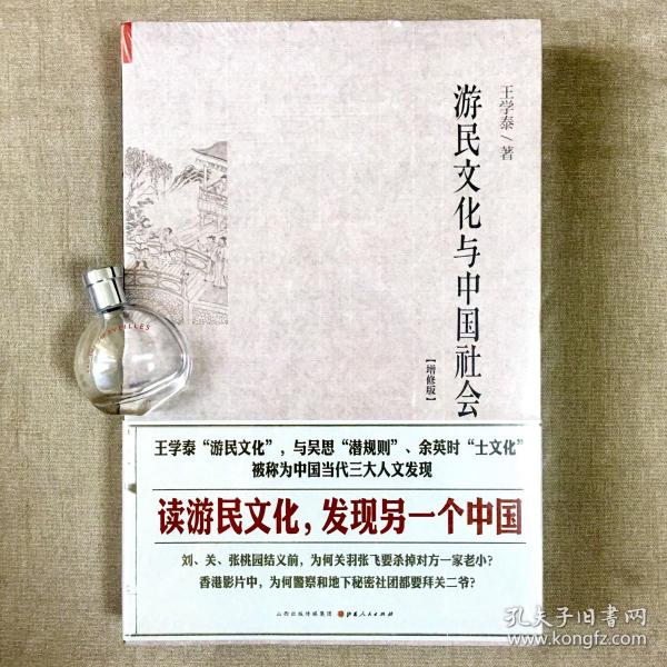 游民文化与中国社会（增修版） 王学泰