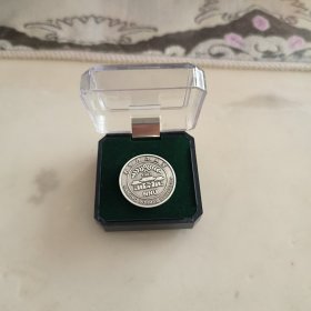 南京师范大学校徽徽章银色圆形