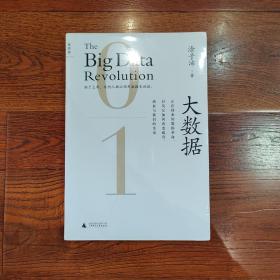 大数据：正在到来的数据革命，以及它如何改变政府、商业与我们的生活