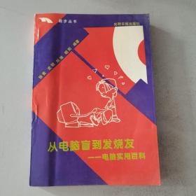 从电脑盲到发烧友:电脑实用百科（包邮挂）