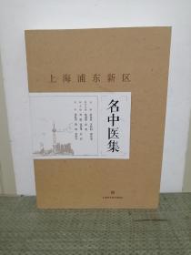 上海浦东新区名中医集