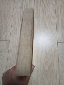 从贝鲁特到耶路撒冷 美国记者中东见闻录 包邮挂刷