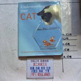 Understanding your CAT