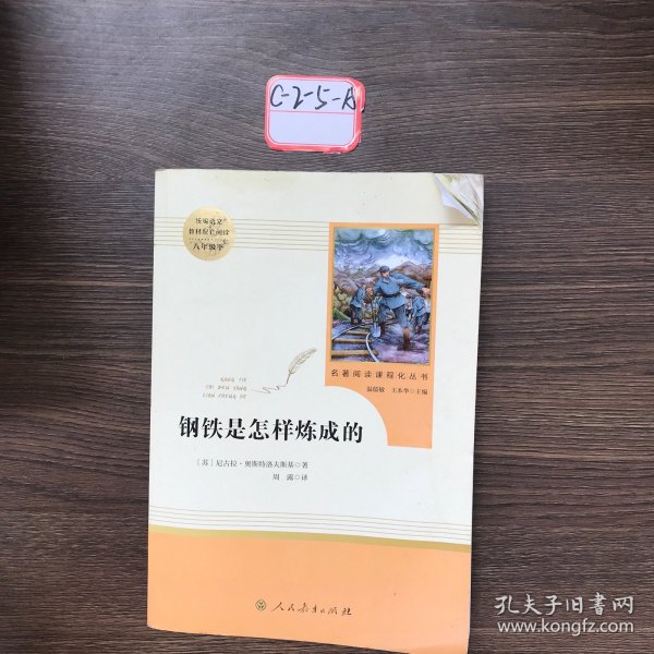 统编语文教材配套阅读 八年级下：钢铁是怎样炼成的/名著阅读课程化丛书