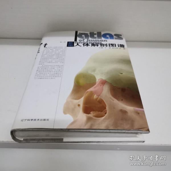 新编人体解剖图谱（第2版）