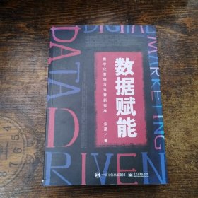 数据赋能：数字化营销与运营新实战(博文视点出品)