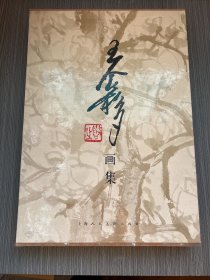 王个簃画集（带盒子）