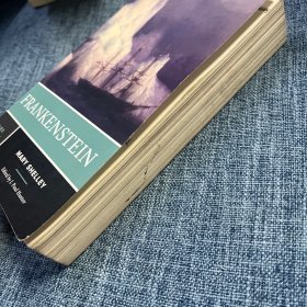 Norton Critical Editions Frankenstein 英文原版 弗兰肯斯坦 诺顿文学解读系列
