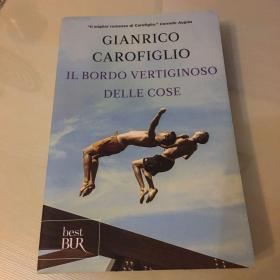 Il bordo vertiginoso delle cose（意大利语原版，《万物令人晕眩的边缘》，意大利当代名家卡罗菲里奥代表作，2019年出版，压膜本，无笔记勾画）