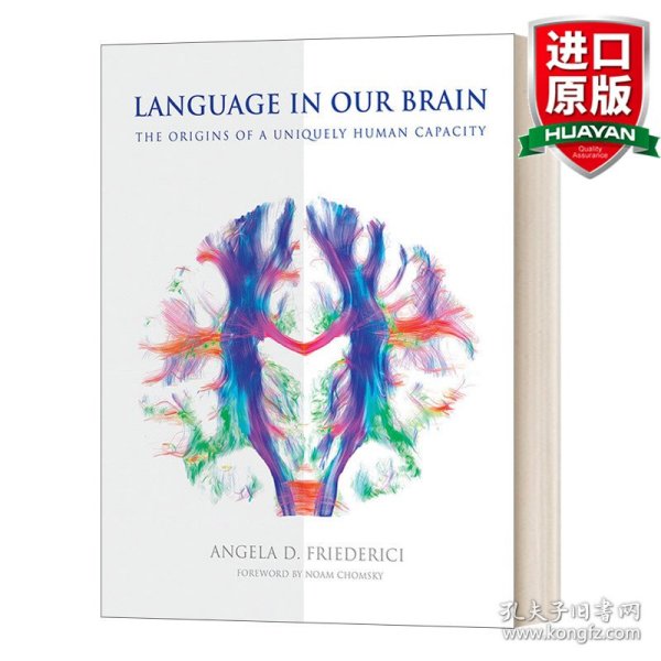 英文原版 Language In Our Brain 我们大脑中的语言 精装 英文版 进口英语原版书籍